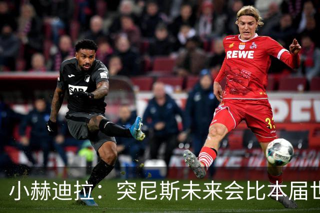 小赫迪拉：突尼斯未来会比本届世界杯更好 批评？我已经付出全力